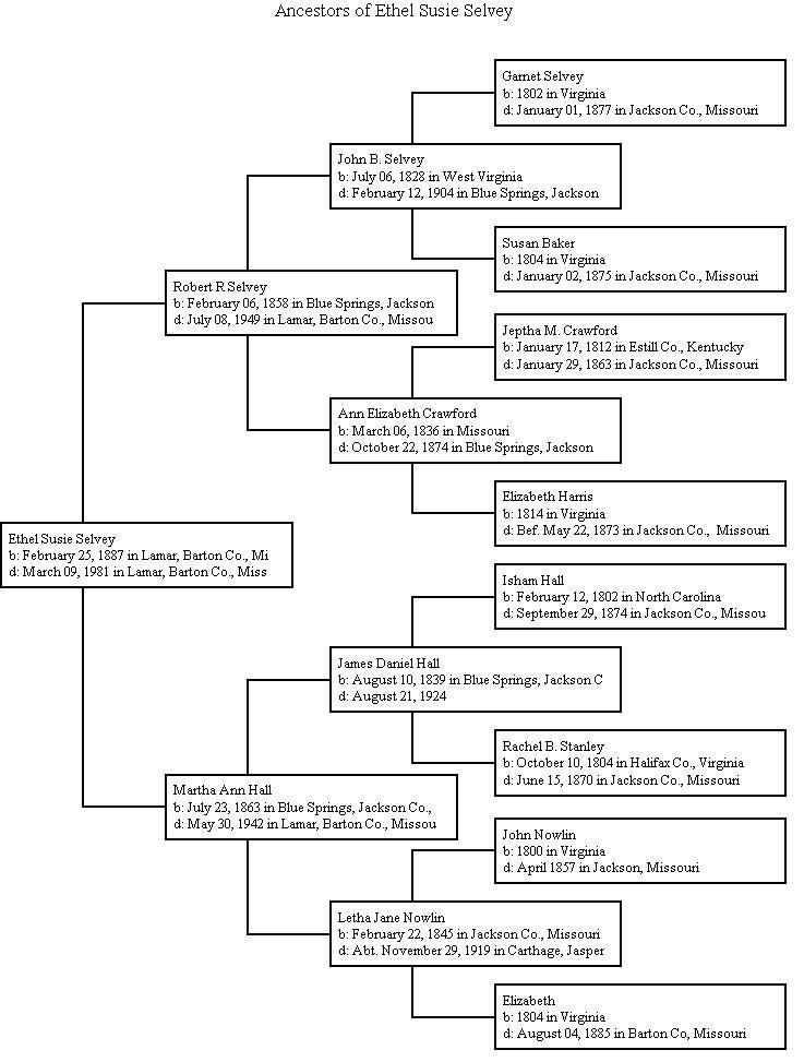 Selvey Family Genealogy Charts