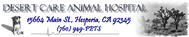 Desert Care Animal Hospital - 15664 Main St., Hesperia, CA - (760) 949-7387