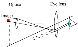 Physics Section