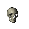 Calavera en movimiento