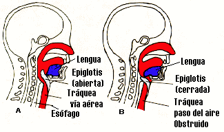 V�a a�rea
