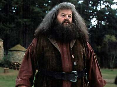 about_hagrid