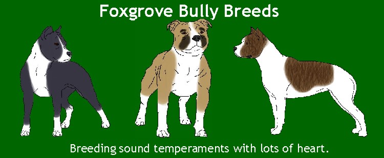 Foxgrove Bully Breeds