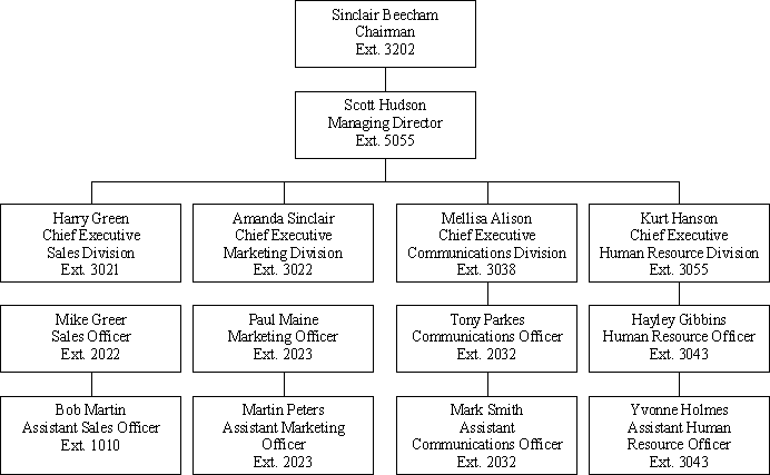 Organisational Structure