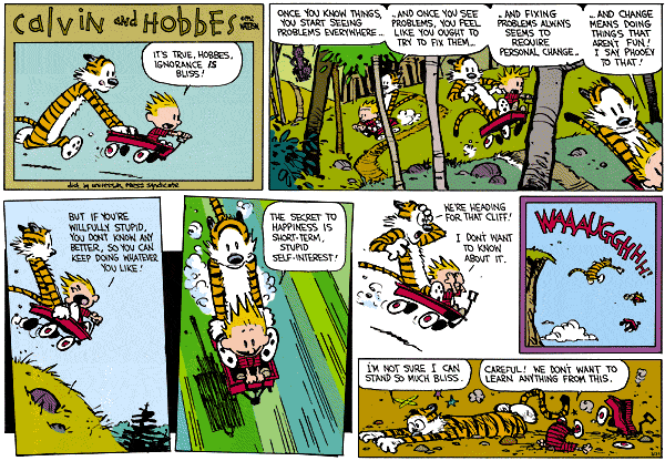 Calvin and Hobbes :)