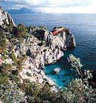 Island Capri-Coast Capri