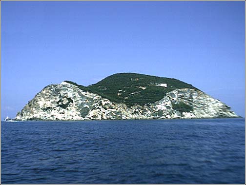Isola di Ponza - Palmarola