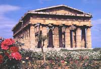 Paestum - Tempio Di Nettuno