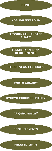 Ryukyu Kobudo Tesshinkan