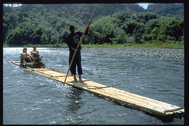 Picture Of Jamaican And Jamaicans