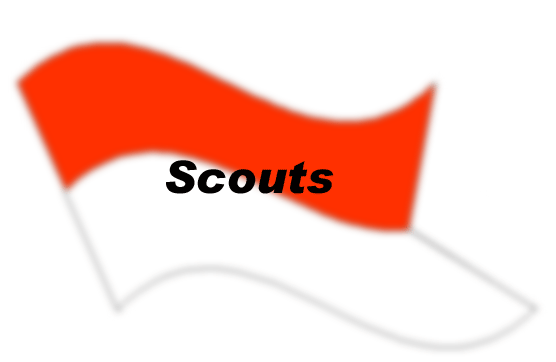 Scout Platoon