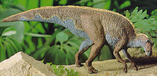 Maiasaura