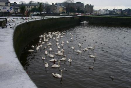 Galway