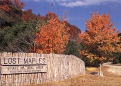 Lost Maples Park!