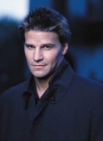 The Kat's Tribute to David Boreanaz