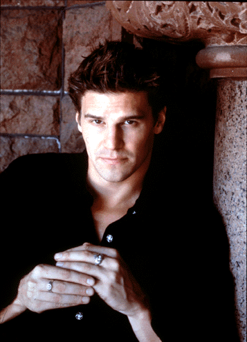 The Kat's Tribute to David Boreanaz