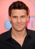 photo David Boreanaz (voz)