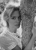 photo Ingrid Thulin