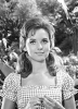 photo Dawn Wells
