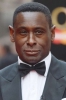 photo David Harewood (voz)