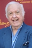 photo Chuck McCann (voz)