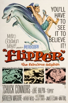 poster Flipper