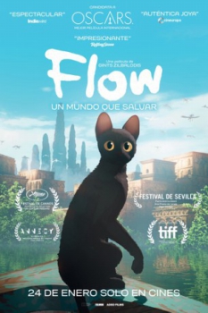 poster Flow&nbsp;&nbsp;(2024)