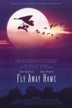 poster Volando a casa&nbsp;&nbsp;(1996)