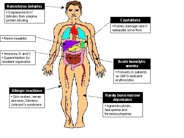 Side Effects of Folate Antagonists