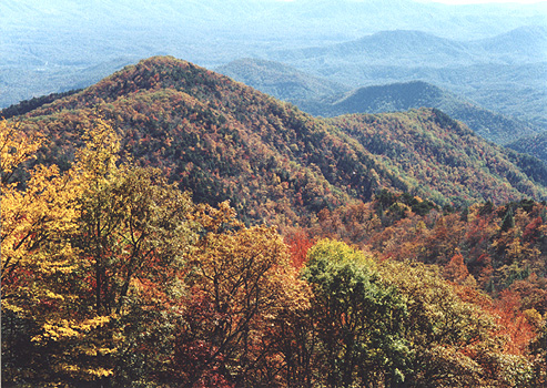 Photography by M.W. Albrecht - Blue Ridge Mountains