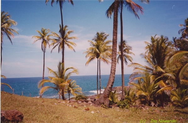 Hidden Beach Bahia	Brasil-Ina-s-am-1-br012-2.jpg