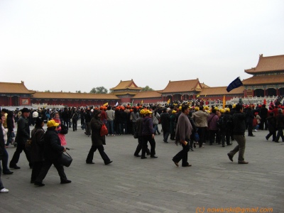 20081108-111248-9978-q.jpg
