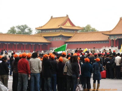 20081108-111258-9979-q.jpg