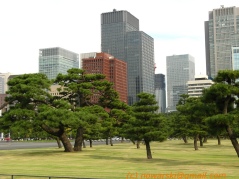 Marunouchi view from Tokyo Chiyoda-ku Imperial Palace and Park	20071020-134756-3608.jpg