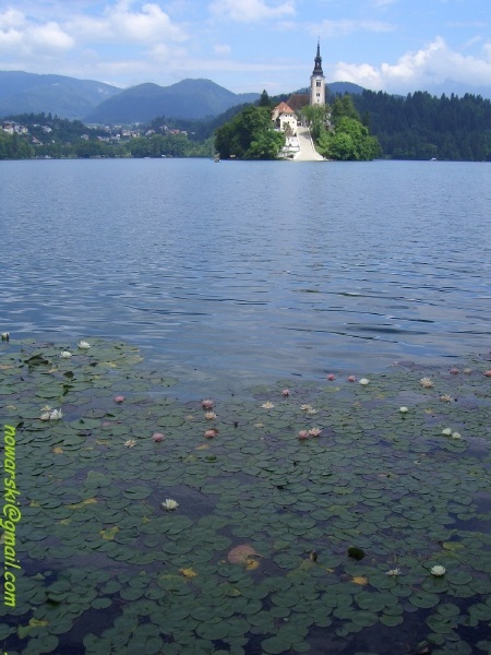 Bled-Island	Slovenia