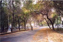 19991024-tashkent-0031.jpg