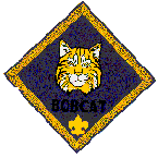 Cub Scout Pack 877 - Bobcat Information