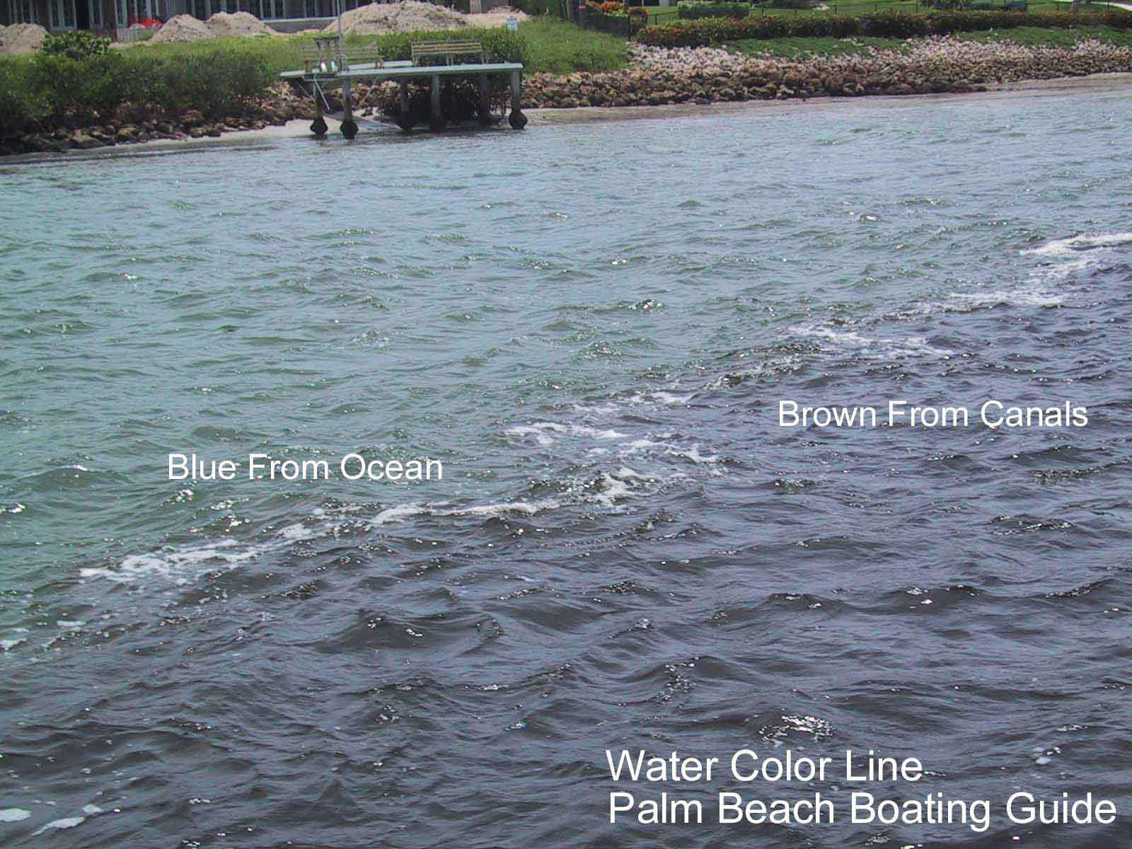 Blue Water / Brown Water Line Near Jupiter Inlet, Florida