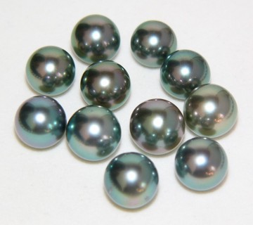 Cultured Black Tahitian Pearls Farm Lombok Indonesia