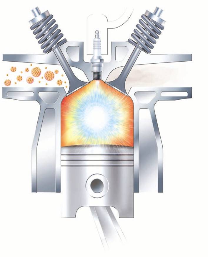 The True and Hard Facts about AutoMax NFE