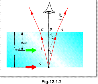 Chapter 12 question 1