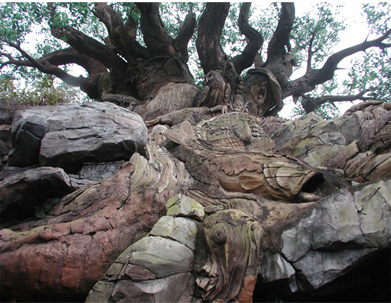 Disney Tree of Life