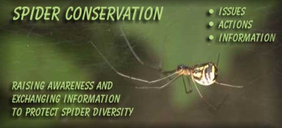 Spider Conservation Home Page