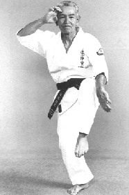 Уэчи канбун. Уэчи рю. Матсон каратэ уэчи рю. Уэчи рю окинава. Уэчи рю в москве.