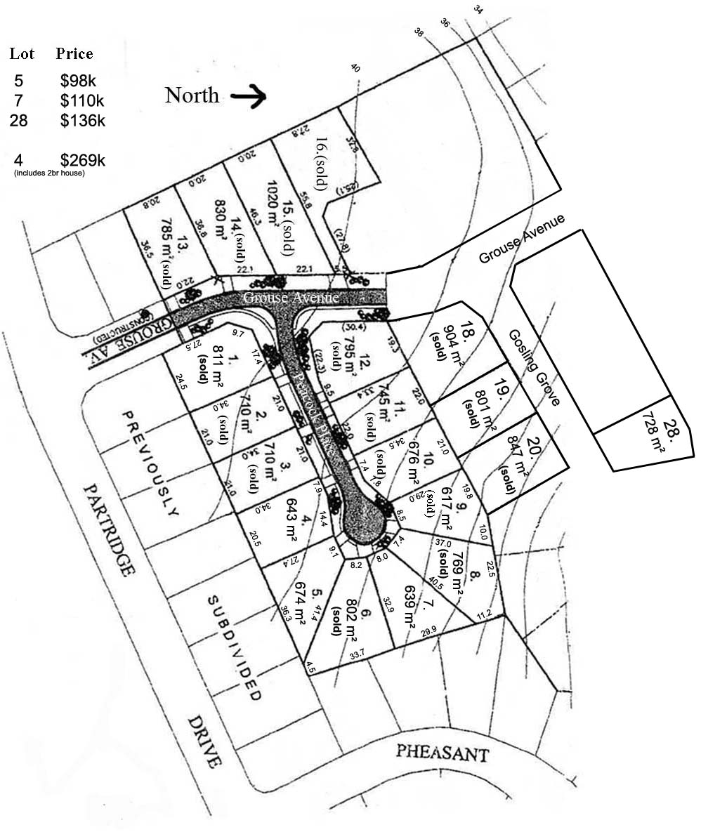 Subdivision Plan showing blocks for sale: Lot numbers 4, 5, 7, 28