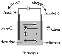 The dissolved ions in a solution are also free charge carriers and so ...