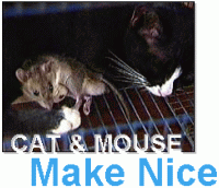 Cat and Mouse make nice