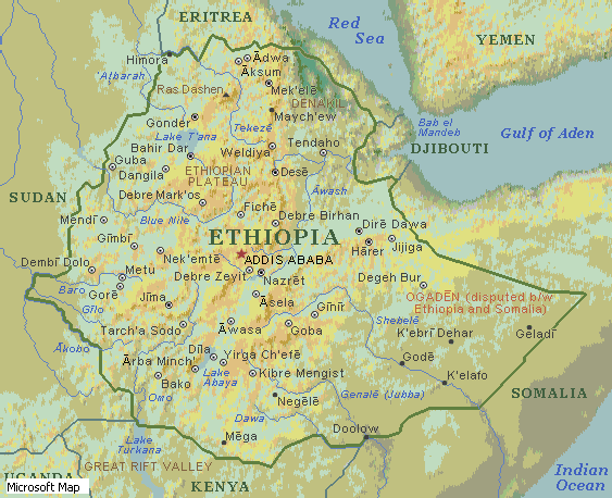 Ethio Profile