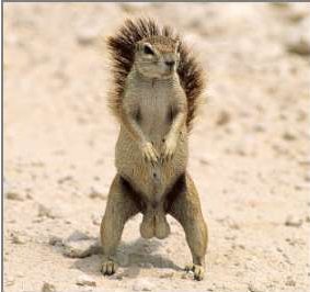 LOOK AT THOSE NUTS!!!!