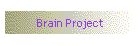 Brain Project
